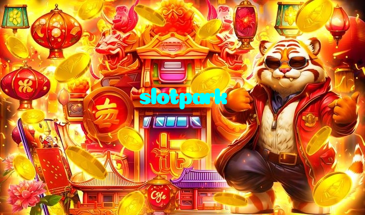 available types of slotpark bet including pre-match live express and system bets