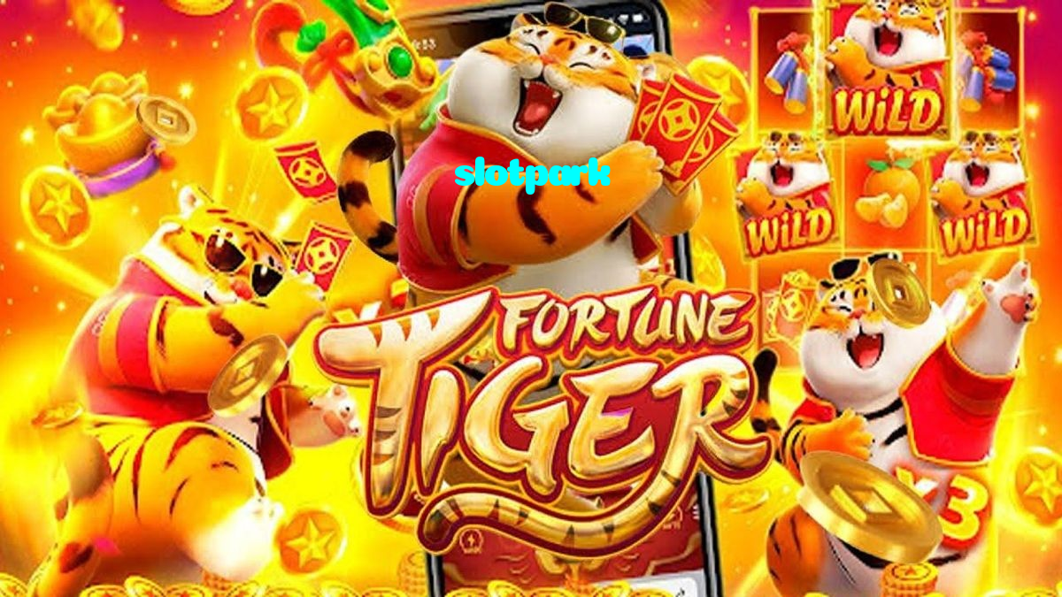 available types of slotpark bet including pre-match live express and system bets